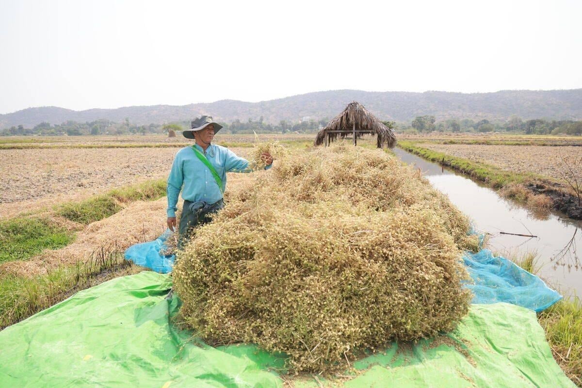 အရှေ့အလယ်ပိုင်း ပဋိပက္ခကြောင့် မြန်မာ့ စားနပ်ရိက္ခာမလုံခြုံမှုကို ပိုမိုဆိုးရွားစေမည်ဟု WFP သတိပေး