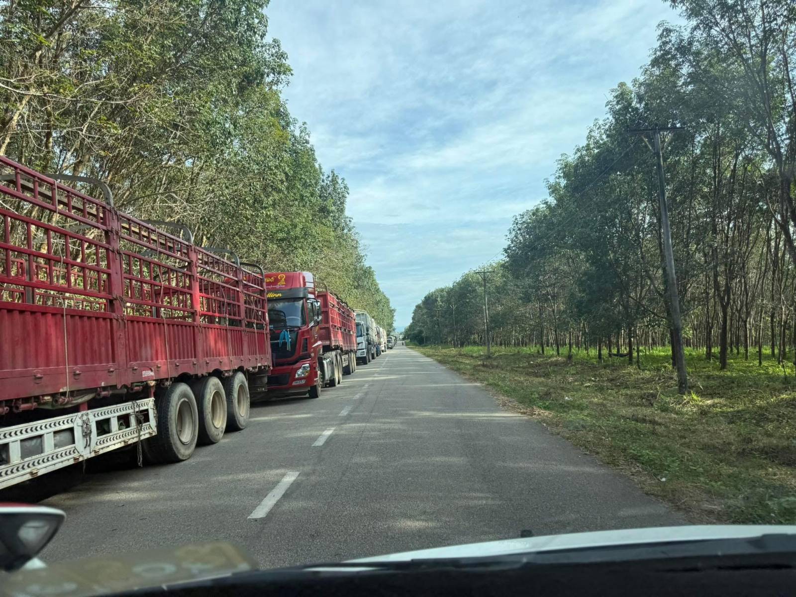 ပြန်ဖွင့်ပြီး ၁ ပတ်အကြာ ထားဝယ်- ပလောက်လမ်းပိုင်း ပြန်ပိတ်