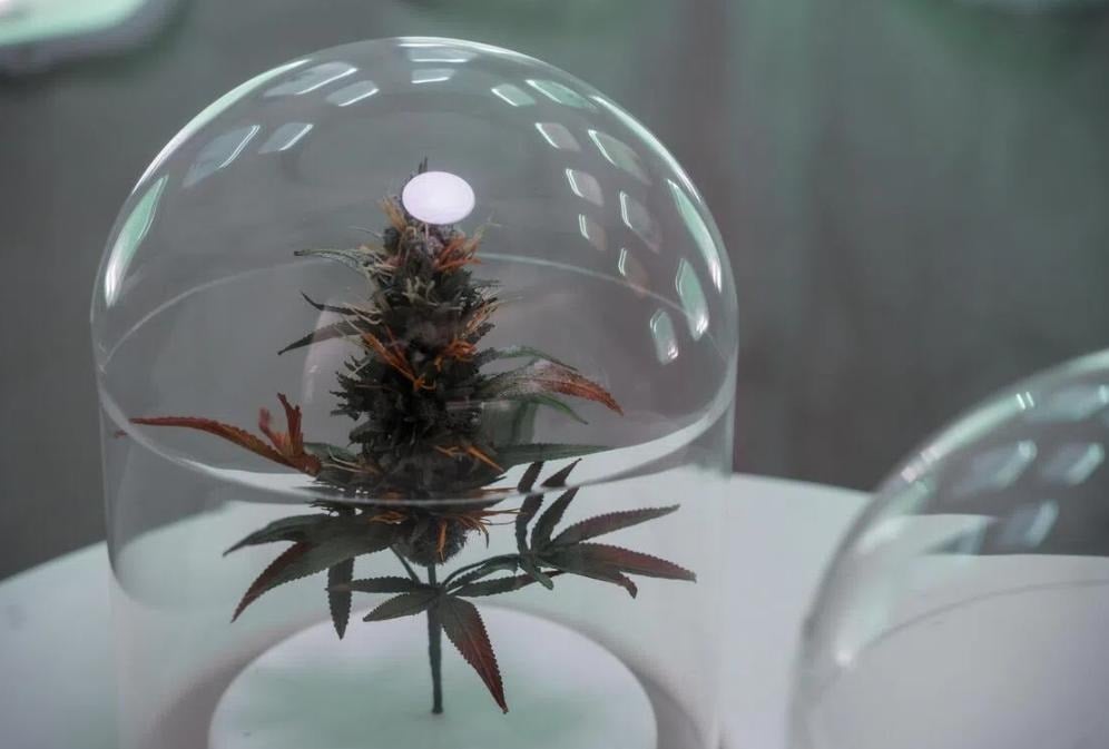 သီရိလင်္ကာတွင် မူးယစ်ဆေးဝါး မှောင်ခိုသယ်မှုဖြင့် သံဃာ ၂၂ ပါးကို ထိန်းသိမ်း