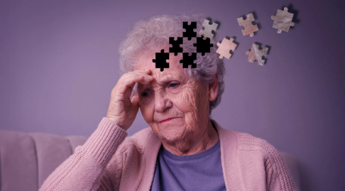 အယ်လ်ဇိုင်းမား ဖြစ်စေသည့် အကြောင်းရင်းများက အမျိုးသားများထက် အမျိုးသမီးများ၏ ဦးနှောက်ကို ပိုမိုထိခိုက်စေကြောင်း သိပ္ပံပညာရှင်များ ရှာဖွေတွေ့ရှိ